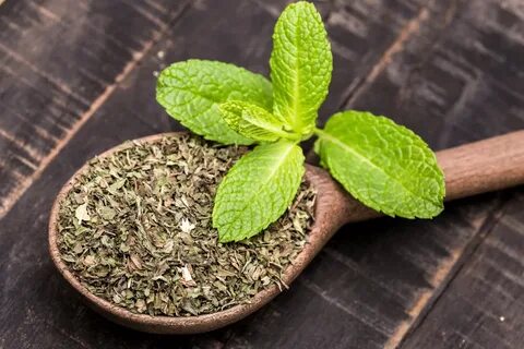 خرید و فروش نعناع خشک + قیمت فوق العاده